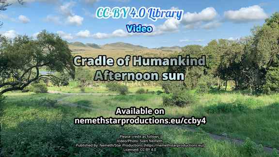 cradle-afternoon-sun