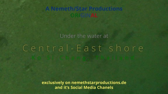 Special Events - Under the water at Central-East Shore - Ko Si Chang, Thailand